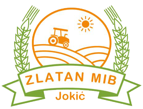 Zlatan MIB - Jokić logo